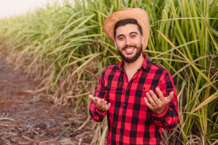 Téléchargez les photos : Jeune ouvrier agricole qui appelle, venez ici, invitant. plantation de canne à sucre. - en image libre de droit
