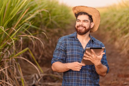 Foto de Hombre caucásico brasileño, agricultor, trabajador rural, ingeniero agrícola, sosteniendo la tableta y mirando al cielo. Agricultura y tecnología. - Imagen libre de derechos