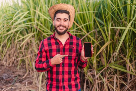 Foto de Campesino joven, agrónomo, mostrando la pantalla del teléfono celular, aplicaciones agrícolas, escaneo. con plantación de caña de azúcar en el fondo. - Imagen libre de derechos