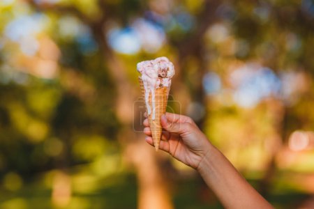 Photo for Hand holding a ice cream - Royalty Free Image