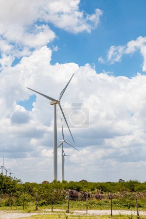 Photo for Wind energy. Sustainability. Sustainable power generators. Vertical - Royalty Free Image