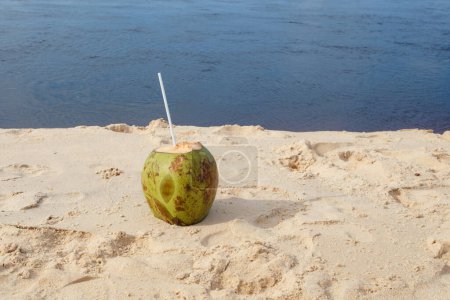 Téléchargez les photos : Image de noix de coco fraîche sur la plage tropicale - en image libre de droit