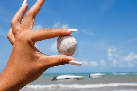 Photo for Woman holding shell in hand with ocean in the background. Beach - Royalty Free Image