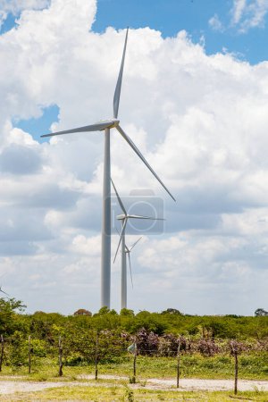 Téléchargez les photos : L'énergie éolienne. Durabilité. Générateurs d'énergie durables. Vertical - en image libre de droit