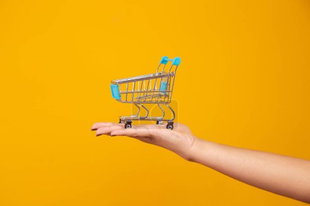 Téléchargez les photos : Femme et supermarché, elle montre un mini chariot. Promotion concept shopping
. - en image libre de droit