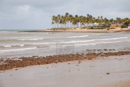 Foto de Playas de Brasil - Maracajau, Rio Grande do Norte - Imagen libre de derechos