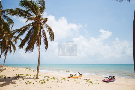 Photo for Coconut palm tree with blue sky, beautiful tropical background on the beach. - Royalty Free Image