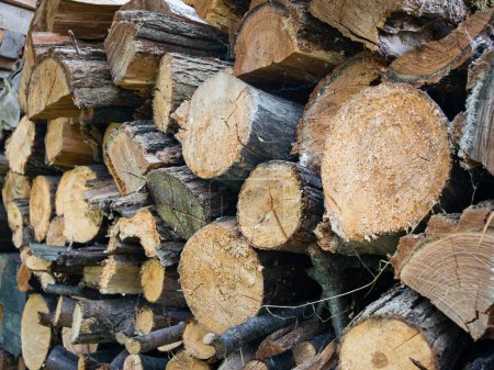 Angled view of firewood of different sizes sawn and stacked