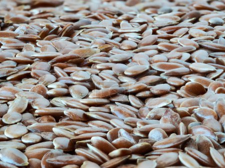 Photo for Macro shot of scattered raw flax seeds - Royalty Free Image