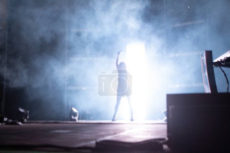 Photo for Chvrches in concert from Central Parl Summerstage in New York - Royalty Free Image