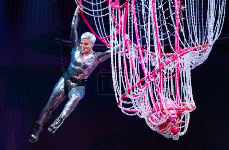 Foto de Pink en concierto en el BB & T Center en Florida - Imagen libre de derechos