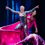Pink in concert at the BB&T Center in Florida