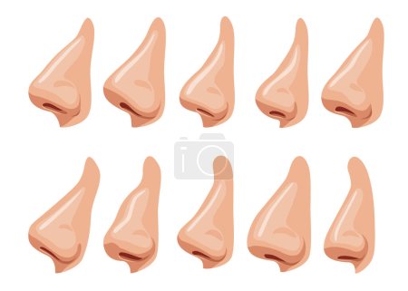 Illustration for Nose human face part nosey breathing smell. Set of anatomy man breathe nosed organ roman-nose snub-nosed and pug-nosed. Flat vector illustration. - Royalty Free Image