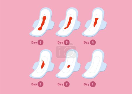 menstruacion