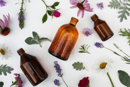 Bottle of essential oil with rosemary, thyme, chamomile, echinacea, wintering, lavender, rose, myrrh on a white background. Top view, flat lay.