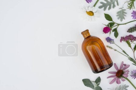 Eine Flasche ätherisches Öl mit Rosmarin, Thymian, Kamille, Echinacea, Überwinterung, Lavendel, Rose, Myrrhe auf weißem Hintergrund. Draufsicht, flache Lage.