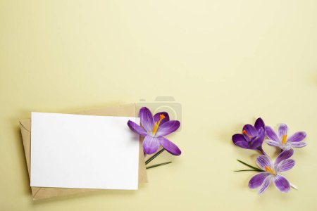Beautiful spring violet crocuses in postal envelope and blank sheet with space for text on a beige background. Top view, flat lay. Copy space.