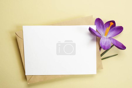 Greeting card mockup with beautiful  purple saffron flower on a beige background. Top view, flat lay. Space for text. Holiday card. Spring minimal concept.