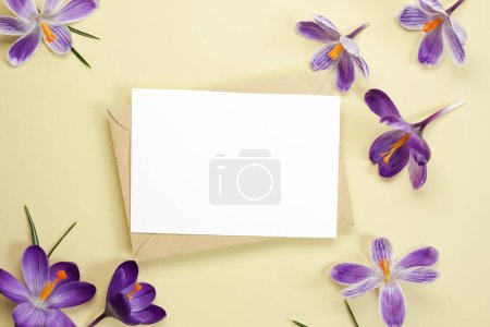 Attrappe Einladung, leere Grußkarte aus Papier, Umschlag und lila Krokusblüten auf beigem Hintergrund. Blume Hintergrund. Flache Lage, Draufsicht. Raum für Text. 