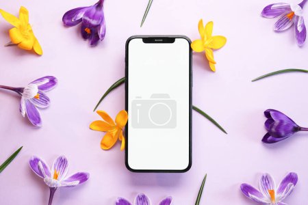Smartphone mockup with violet and yellow crocuses flowers. Device screen mockup on stylish background for presentation or app design. Top view, copy space for text, product place.