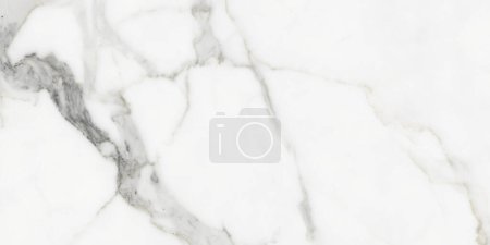 Photo for Calacatta White Premium White Marble Tile - Royalty Free Image