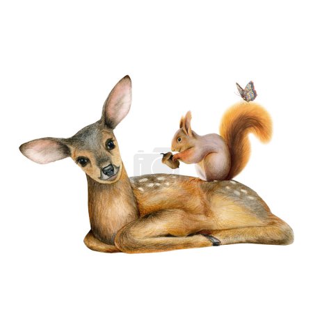 Téléchargez les photos : Woodland animaux mignons réalistes bébé cerf, écureuil, papillon. Scandinave aquarelle forêt pépinière affiche design. Caractères tirés à la main. - en image libre de droit