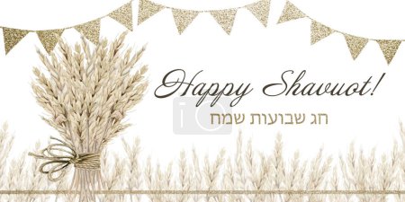 Téléchargez les photos : Bannière de salutation Happy Shavuot aquarelle avec champ de blé et bouquet, drapeaux dorés et illustration de Sameach Chag hébreu isolée sur fond blanc. Carte de vacances juive horizontale. - en image libre de droit