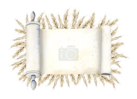 Photo for Shavuot greeting card template with watercolor Torah scroll and wheat ears for Jewish holiday, blank paperiIllustration clipart isolated on white background. - Royalty Free Image