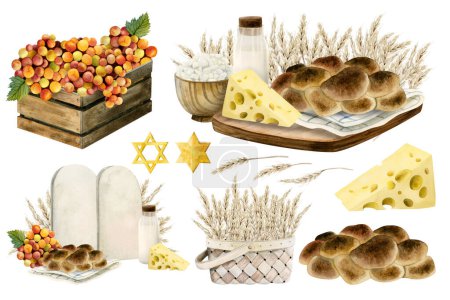 Photo for Shavuot symbols illustration bundle isolated on white. Hand drawn compositions and elements of challah bread, milk, cheese, grapes and wheat. Holiday stone tablets template stars of David. - Royalty Free Image