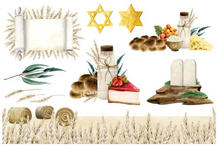 Shavuot plantilla de saludo y composiciones con símbolos judíos de vacaciones. Juego de ilustraciones en acuarela aislado en blanco con pergamino de la Torá, pan de jalá, leche, queso, tabletas de piedra y campo de trigo.