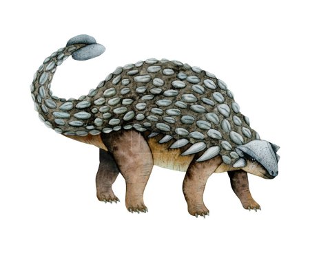 Foto de Acuarela gris marrón dibujada a mano Ilustración de dinosaurios Ankylosaurus. Animal herbívoro ealista prehistórico del Cretácico - Imagen libre de derechos