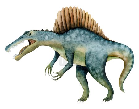 Foto de Dinosaurio realista Spinosaurus. Ilustración acuarela dibujada a mano aislada sobre fondo blanco. Antiguo depredador animal de época jurásica - Imagen libre de derechos