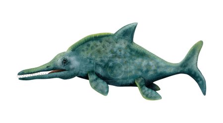 Téléchargez les photos : Dinosaure marin bleu foncé vert Ichthyosaure isolé sur fond blanc. Natation antique dauphin aquarelle illustration - en image libre de droit