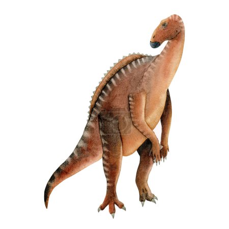 Foto de Ilustración de acuarela de dinosaurio Iguanodon marrón. Lagarto herbívoro antiguo realista dibujado a mano aislado sobre fondo blanco - Imagen libre de derechos