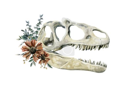 Téléchargez les photos : Tyrannosaurus Crâne de Rex avec des fleurs rouges et des branches d'eucalyptus illustration aquarelle isolé sur fond blanc. Dinosaure prédateur réaliste dessiné à la main - en image libre de droit
