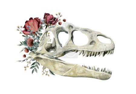 Téléchargez les photos : Crâne de dinosaure carnivore aux roses rouges, fleurs de champ et aquarelle d'eucalyptus isolé sur fond blanc - en image libre de droit