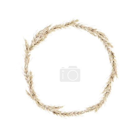 Photo for Watercolor cereal wreath. Elegant wheat round frame isolated on white background - Royalty Free Image