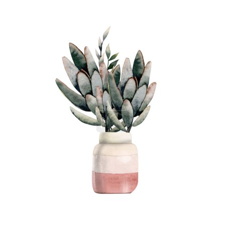 Téléchargez les photos : Bouquet de succulents aquarelle verte en vase rose isolé sur fond blanc, couleurs calmes, plantes d'intérieur pour intérieur élégant, cartes, motifs de magasins de fleuristes - en image libre de droit