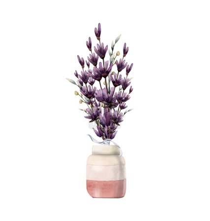 Téléchargez les photos : Bouquet violet de fleurs de lavande en vase rose dessin à la main aquarelle illustration isolée sur fond blanc. - en image libre de droit