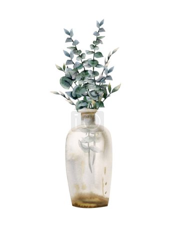 Foto de Acuarela ramas de eucalipto verde en jarrón de botella de vidrio. Ilustración realista dibujada a mano aislada sobre fondo blanco. - Imagen libre de derechos