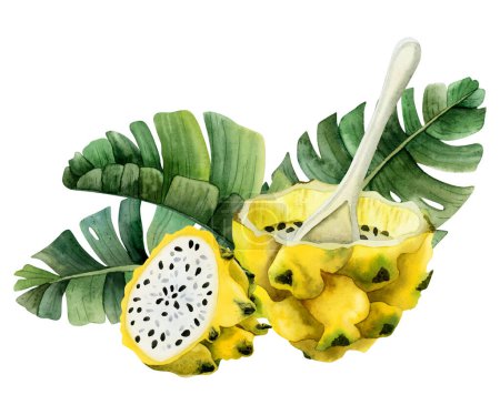 Photo for Yellow dragon fruit dessert with spoon and green palm leaves watercolor illustration. Realistic botanical clipart of exotic Asian cactus for summer flavors and designs isolated on white background. - Royalty Free Image