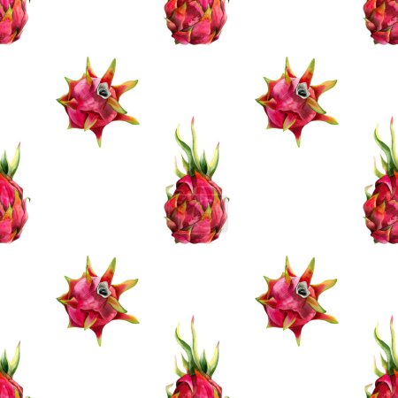 Foto de Rosas frutas de dragón rojo patrón sin costura simple con dibujos pitaya acuarela sobre fondo blanco. Ilustración botánica minimalista dibujada a mano para menús de verano, telas, diseños tropicales. - Imagen libre de derechos