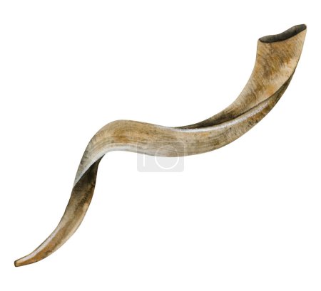 Photo for Shofar horn for Rosh Hashanah and Yom Kippur watercolor illustration isolated on white background. Jewish new year symbol in realistic style for greeting cards and invitations. - Royalty Free Image
