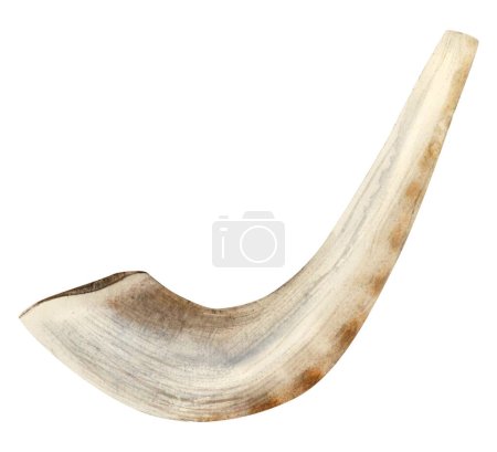 Small shofar from ram horn for Rosh Hashanah and Yom Kippur watercolor illustration isolated on white background. Jewish new year traditional symbol in realistic style.