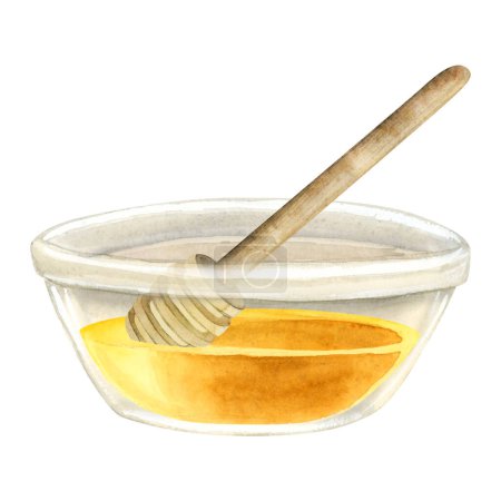 Téléchargez les photos : Miel jaune dans un bol en verre avec une cuillère à trempette en bois illustration aquarelle isolée sur fond blanc Clipart dessiné à la main pour livres de cuisine, recettes et dessins de cuisine. - en image libre de droit