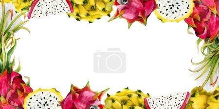 Téléchargez les photos : Rose et jaune dragon fruits tranches et fleurs cadre horizontal avec espace de copie. Illustration pitahaya aquarelle isolée sur fond blanc. Modèle botanique pour la publicité. - en image libre de droit