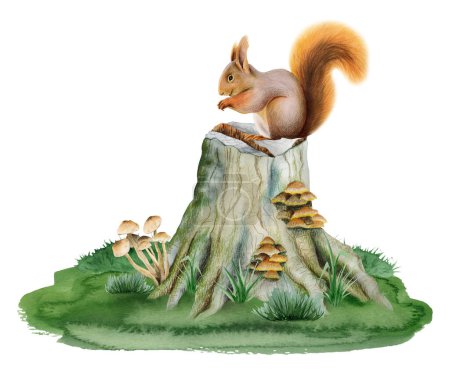 Téléchargez les photos : Écureuil assis sur tronc d'arbre avec des champignons sur herbe verte aquarelle forêt forêt scène illustration isolé sur fond blanc pour les dessins de chambre d'enfants. - en image libre de droit