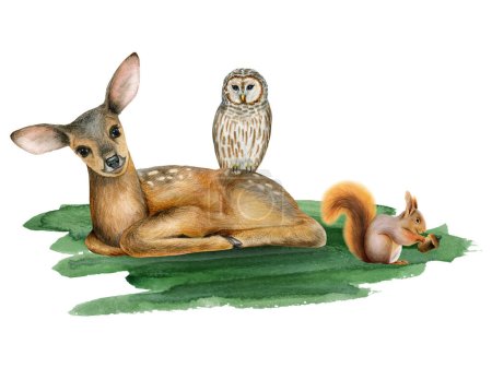 Téléchargez les photos : Bébé cerf aquarelle, hibou rayé et écureuil sur herbe verte illustration d'animaux forestiers mignons et d'oiseaux isolés sur fond blanc pour autocollants et dessins d'enfants en pépinière. - en image libre de droit