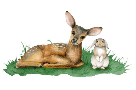 Téléchargez les photos : Bébé cerf et lapin lapin sur herbe verte aquarelle illustration d'animaux forestiers mignons isolés sur fond blanc pour autocollants et dessins d'enfants en pépinière. - en image libre de droit