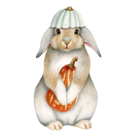Foto de Conejo de conejo de Halloween acuarela con un sombrero con dibujo de ilustración de calabaza naranja para la temporada navideña, tarjeta de día de acción de gracias, diseños de otoño. - Imagen libre de derechos